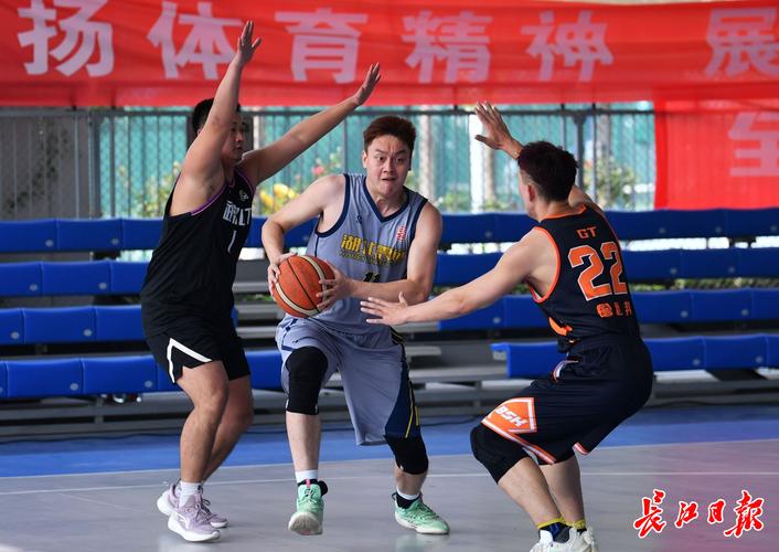 尼亚的组织