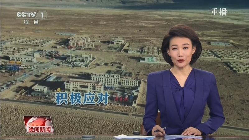 的球迷